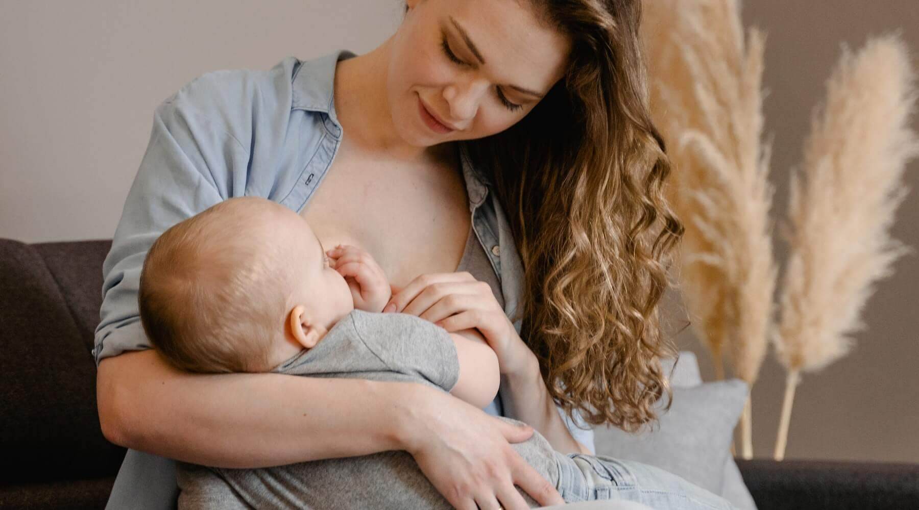 CBD during pregnancy or breastfeeding - Oxocan 