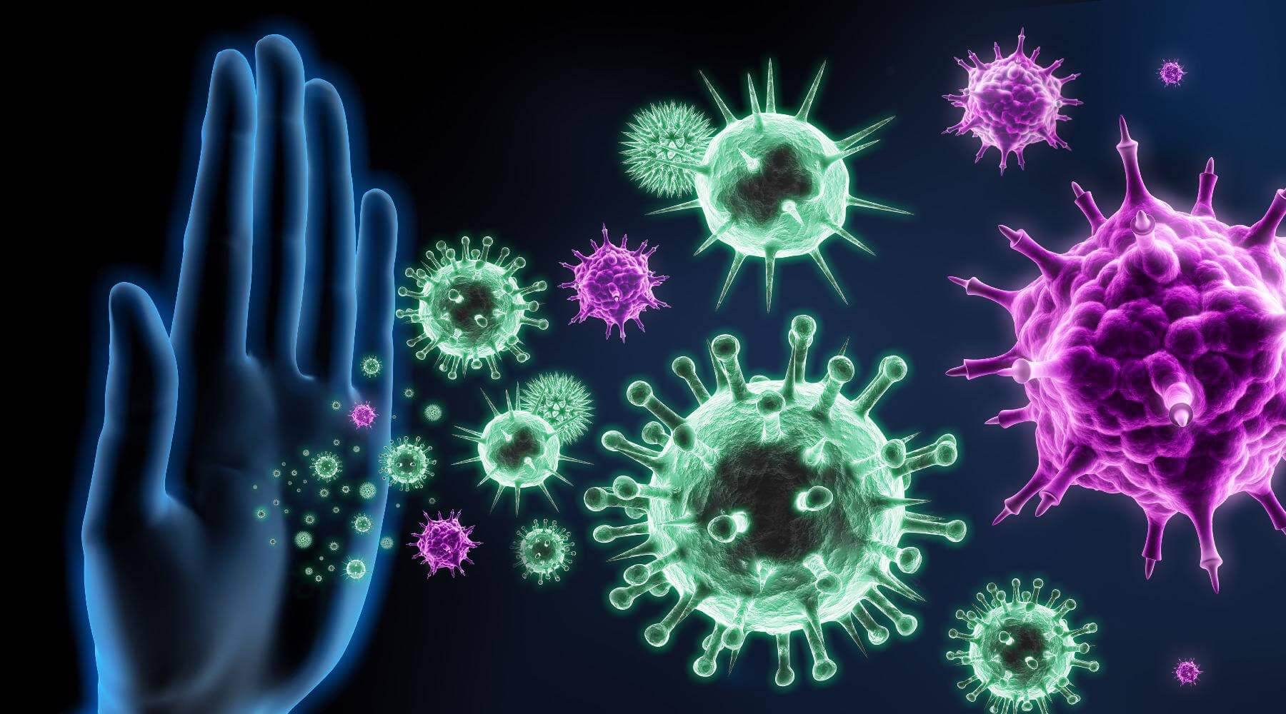 The impact of CBD on our immune system - Oxocan 